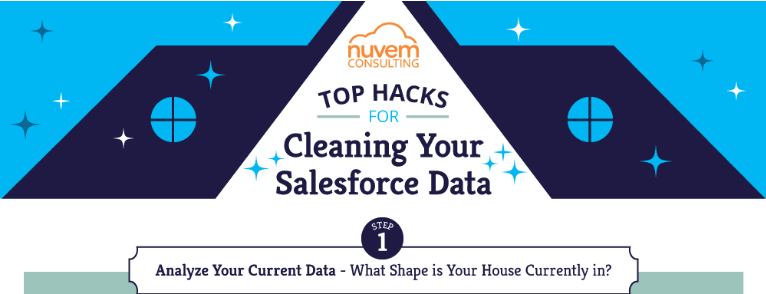Maintaining Salesforce Data