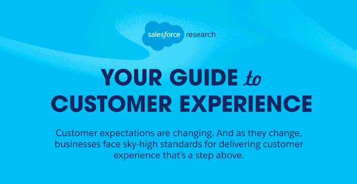 customer experience guide