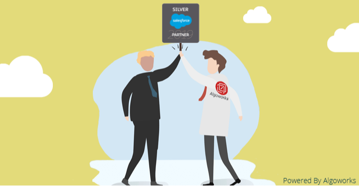 Salesforce Silver Consulting Partner