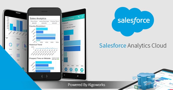 Salesforce Wave