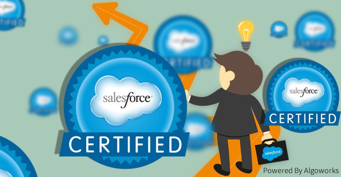 salesforce consultant