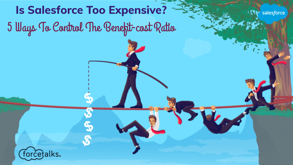 salesforce too expensive