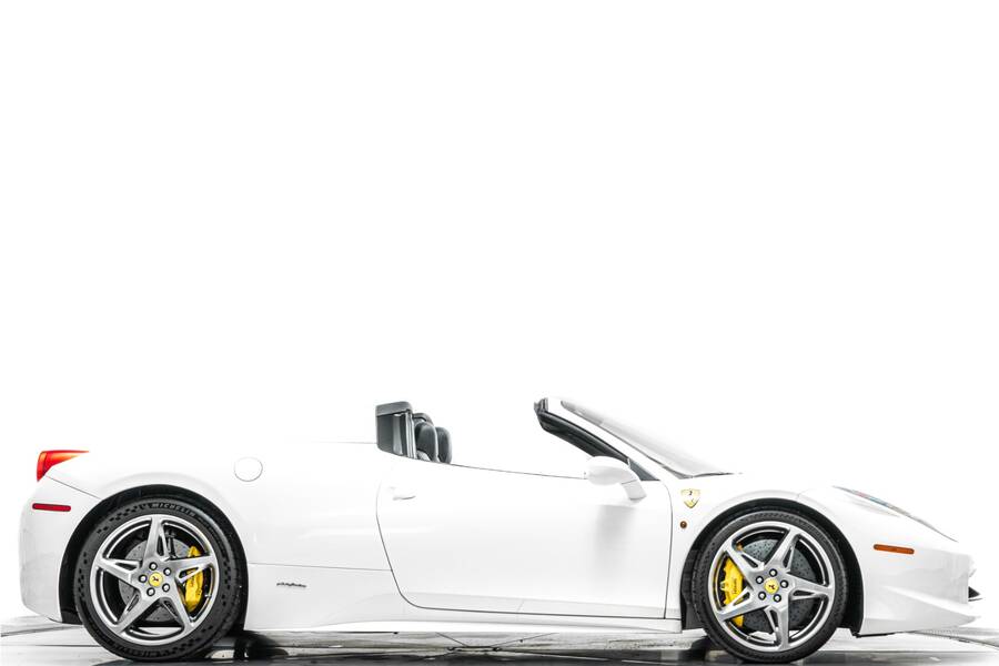 2014-458-spider-picture.jpg?
