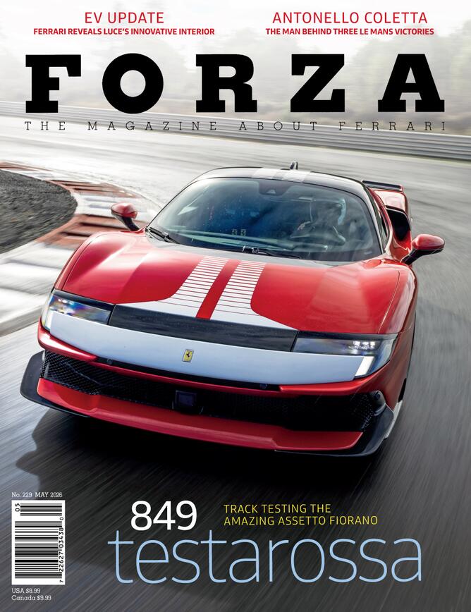 Issue 229 cover