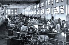 Photo: The Wilderness Years 1