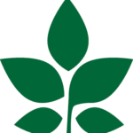 Camp Manager at Camp Hickory
