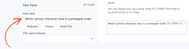 Quiz maker Scored text