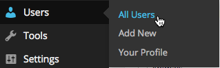 Create Posts Users