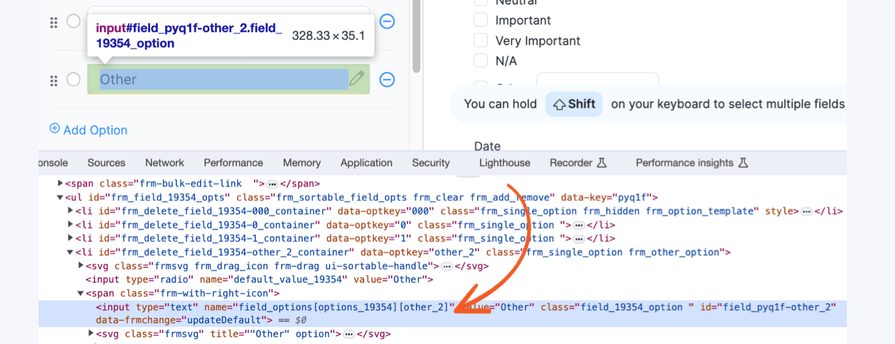 Customize HTML input Options other