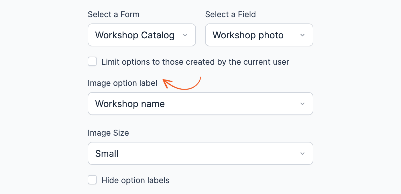 Dynamic field Image option label, Image Size and Hide option labels settings
