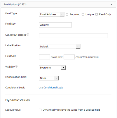 Email Field Options