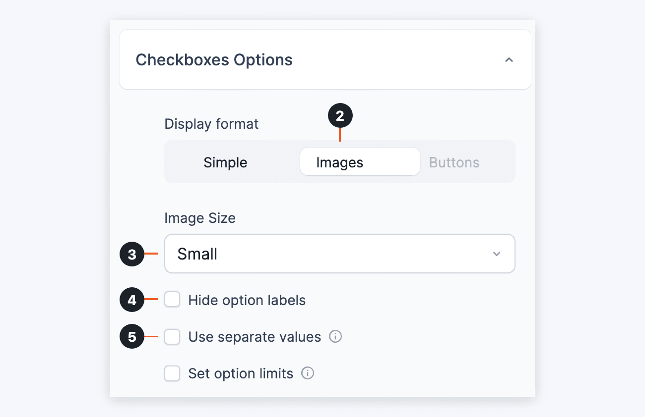 Checkboxes Radio Display Format - Images (2), Image Size (3), Hide option labels (4), and Use separate values (5) Checkboxes Radio Display Format - Images (2), Image Size (3), Hide option labels (4), and Use separate values (5)