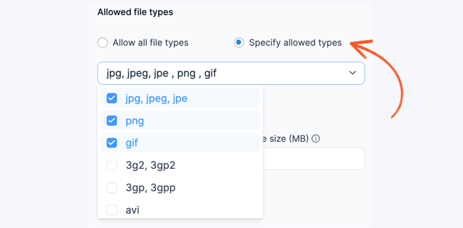 File Upload Allow File Types