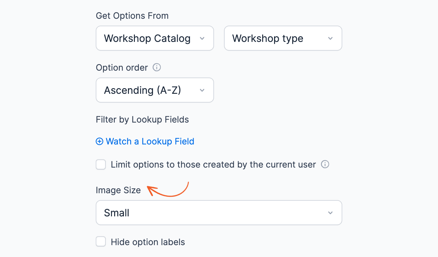 Lookup field Image Size and Hide option labels settings