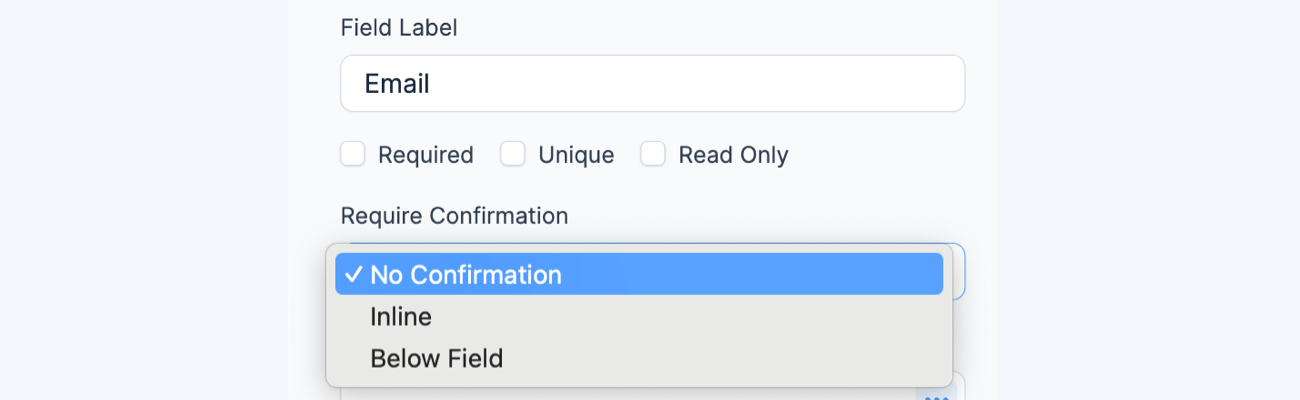 Require Confirmation dropdown in an Email field's options Require Confirmation dropdown in an Email field's options