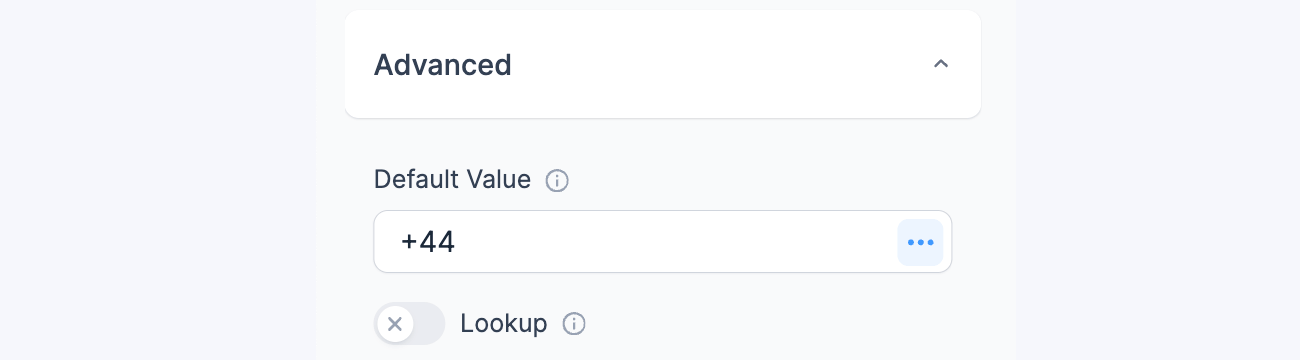 Set default value in International Phone Format Set default value in International Phone Format