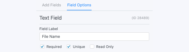Protect File Upload - Single Line Text to get email before download