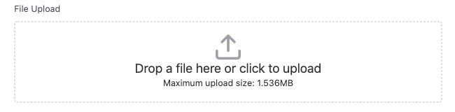 Protect File Upload - File Upload