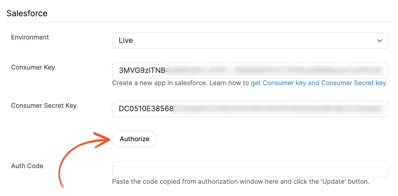 Salesforce Authorize Button Salesforce Authorize Button
