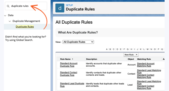Salesforce Duplicate Rules records Salesforce Duplicate Rules records