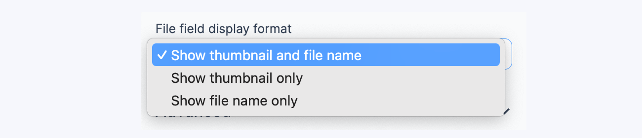 Summary - File Field Display Form