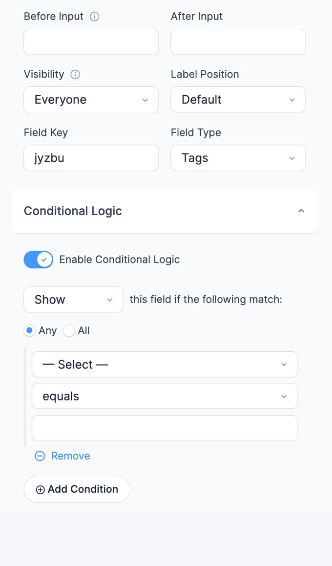 Tags Field Options