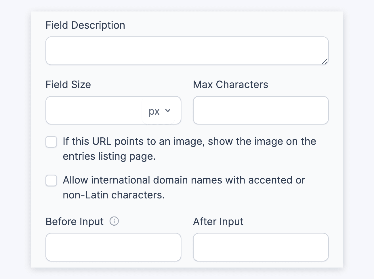 Website/URL field options - Field Description to Before and After Input, with the image and international domain checkboxes