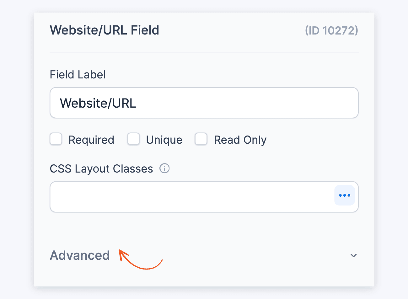 Website/URL field options - Advanced section collapsed