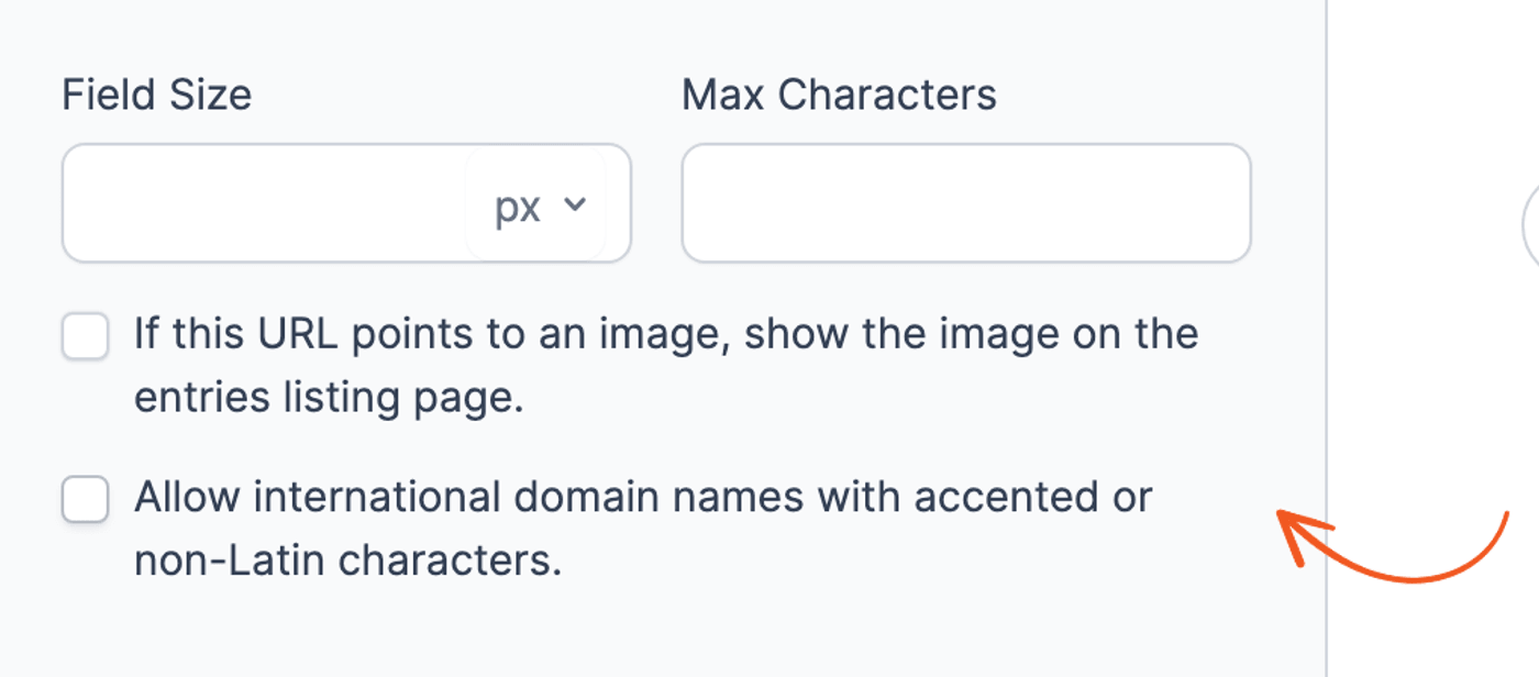 Website/URL field - Allow international domain names option