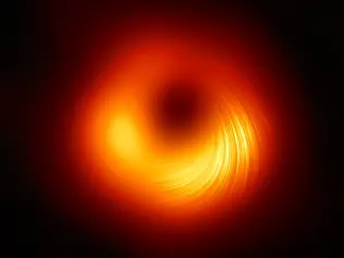 Black Holes: Paradox Regained