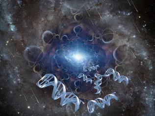 Is the 'Fine-Tuned Universe' an Illusion?
