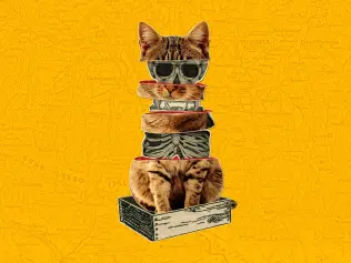 What kills Schrödinger’s cat?