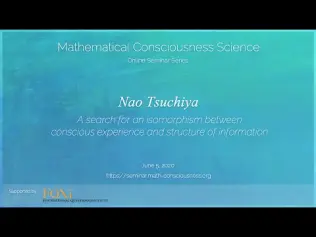 A search for an Isomorphism between Conscious Experience and Structure of Information by Nao Tsuchiya