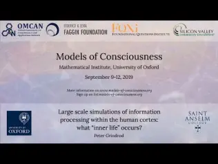 Large scale simulations of information processing within the human cortex: what “inner life” occurs? by Peter Grindrod