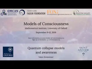 Quantum collapse models and awareness by Kobi Kremnitzer