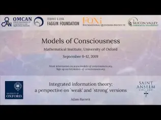 Integrated information theory: a perspective on `weak’ and `strong’ versions by Adam Barrett