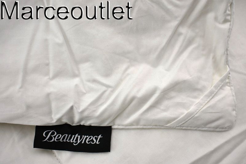 BeautyrestAllSeasonWarmth233TCFeatherDownComforter2.jpg (800×534)