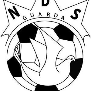 NDS - Campeão Distrital de Infantis de Futebol de 7
