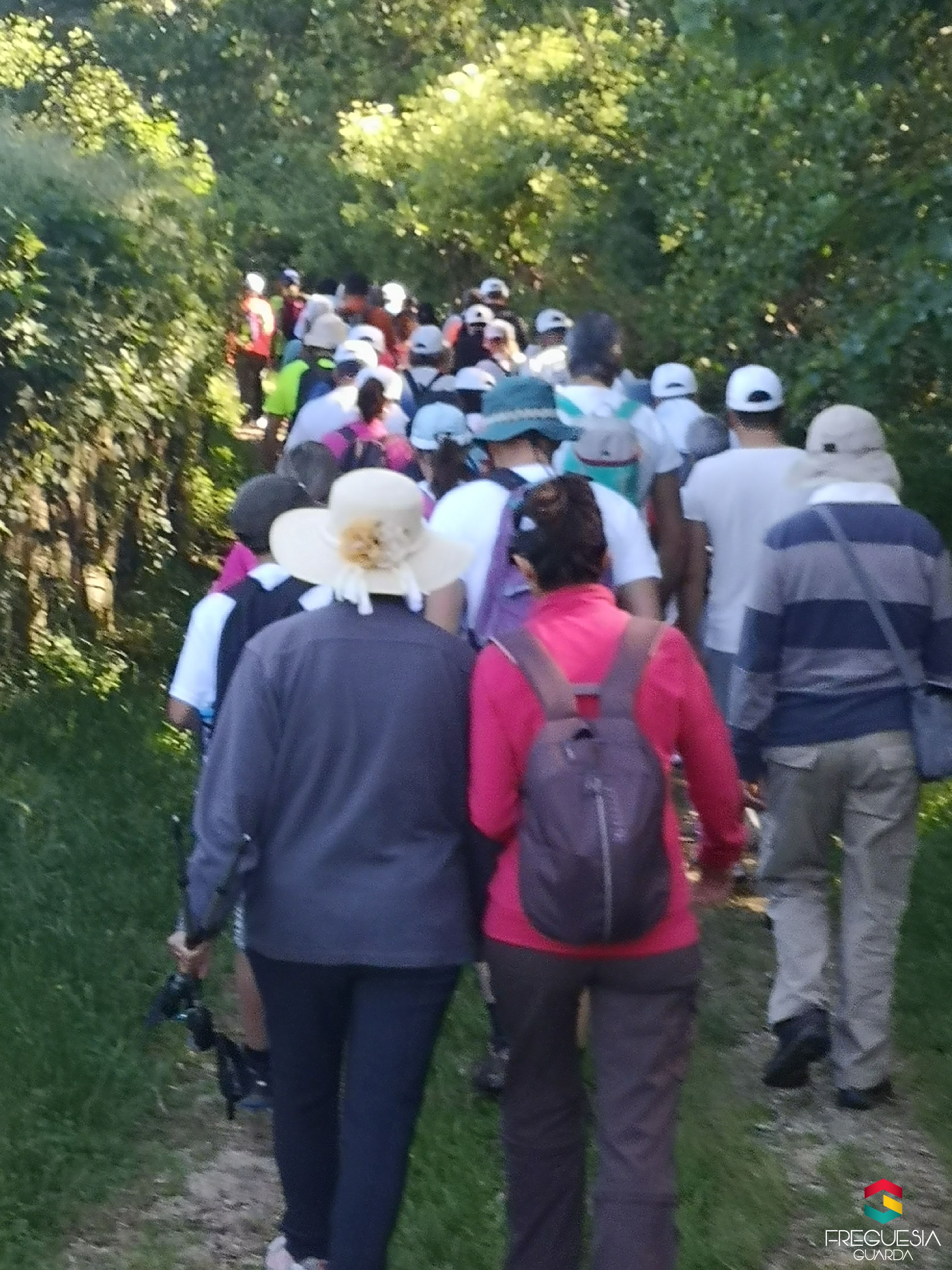 Programa "Caminhe com a Freguesia"