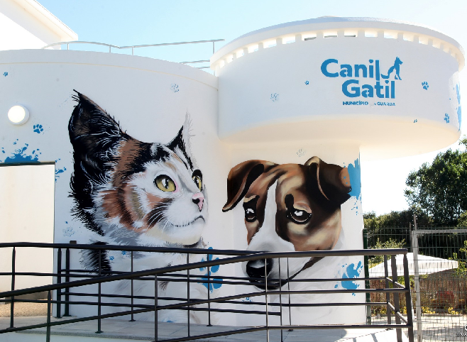 Dia Aberto no Canil/Gatil Municipal da Guarda