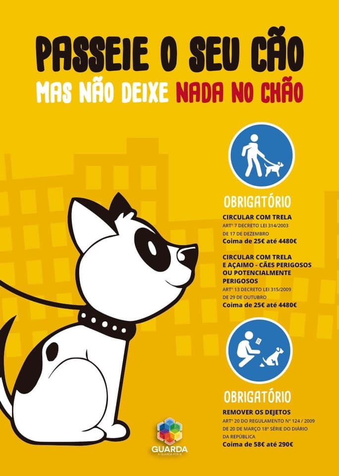 Formação obrigatória
