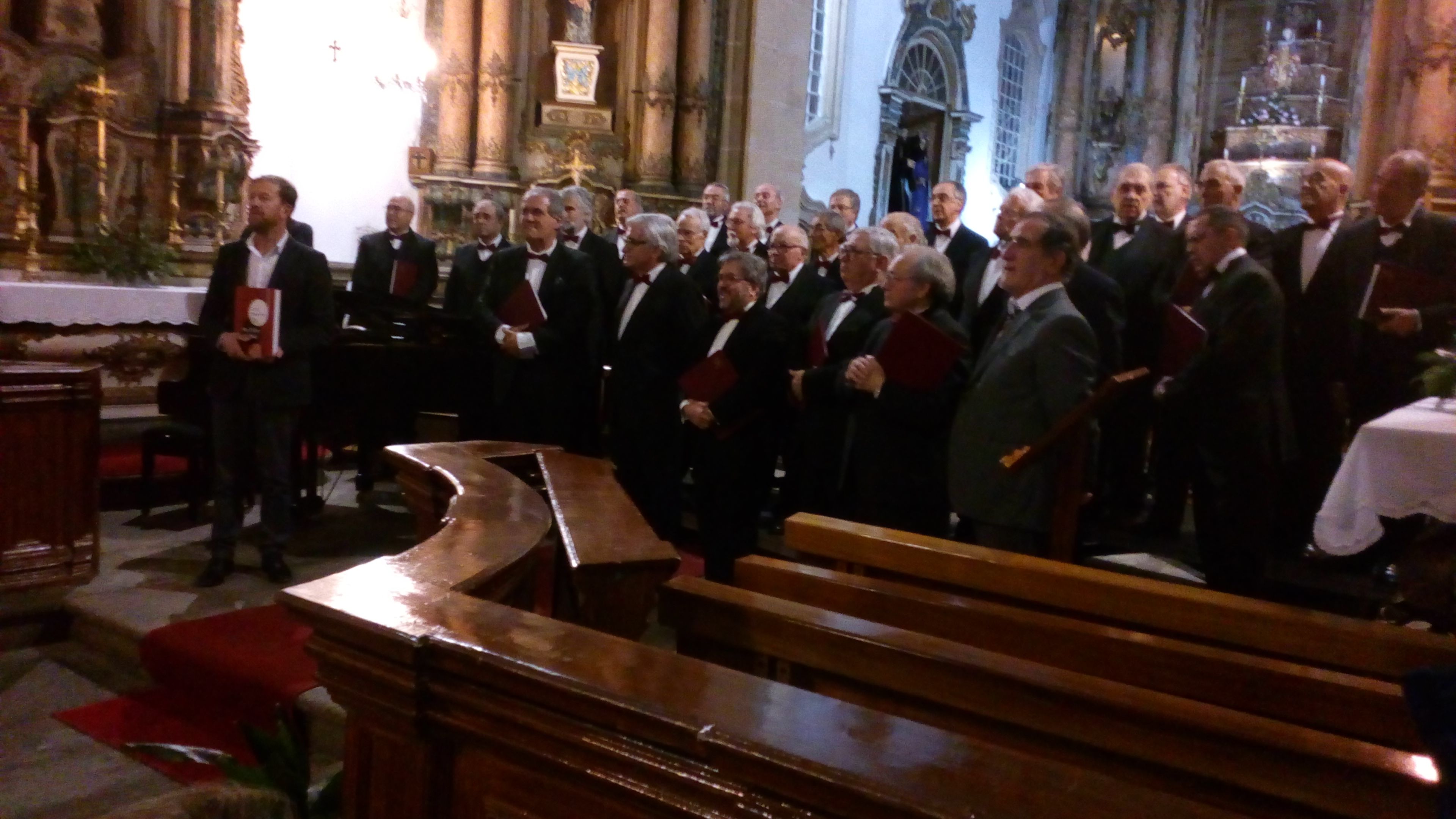 Coro masculino Stella Vitae