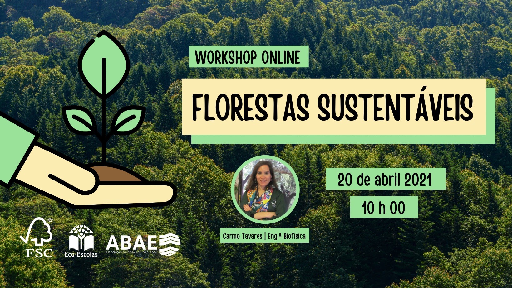 Workshop Online “Florestas Sustentáveis”