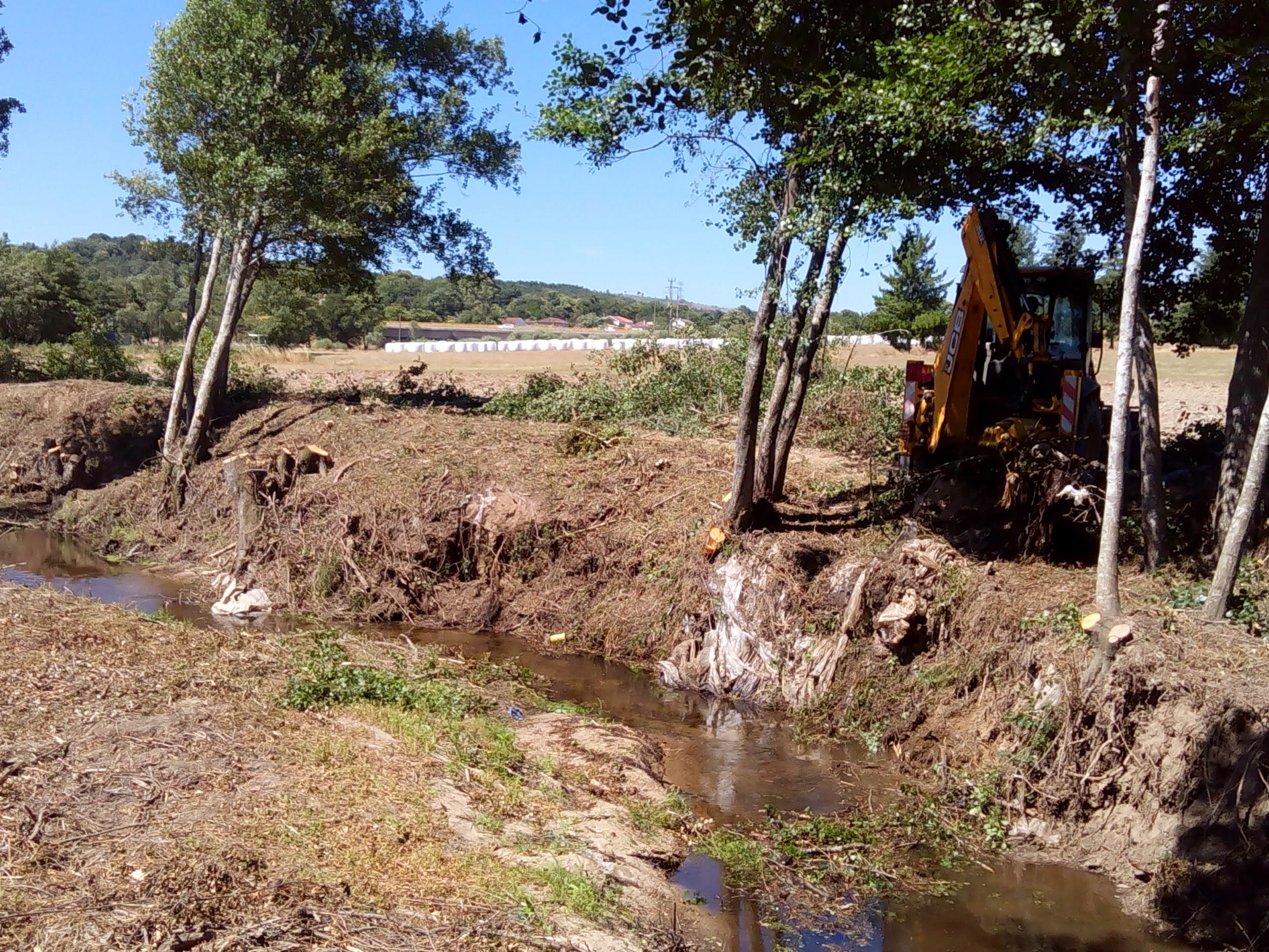Limpeza dos rios Diz e Noéme