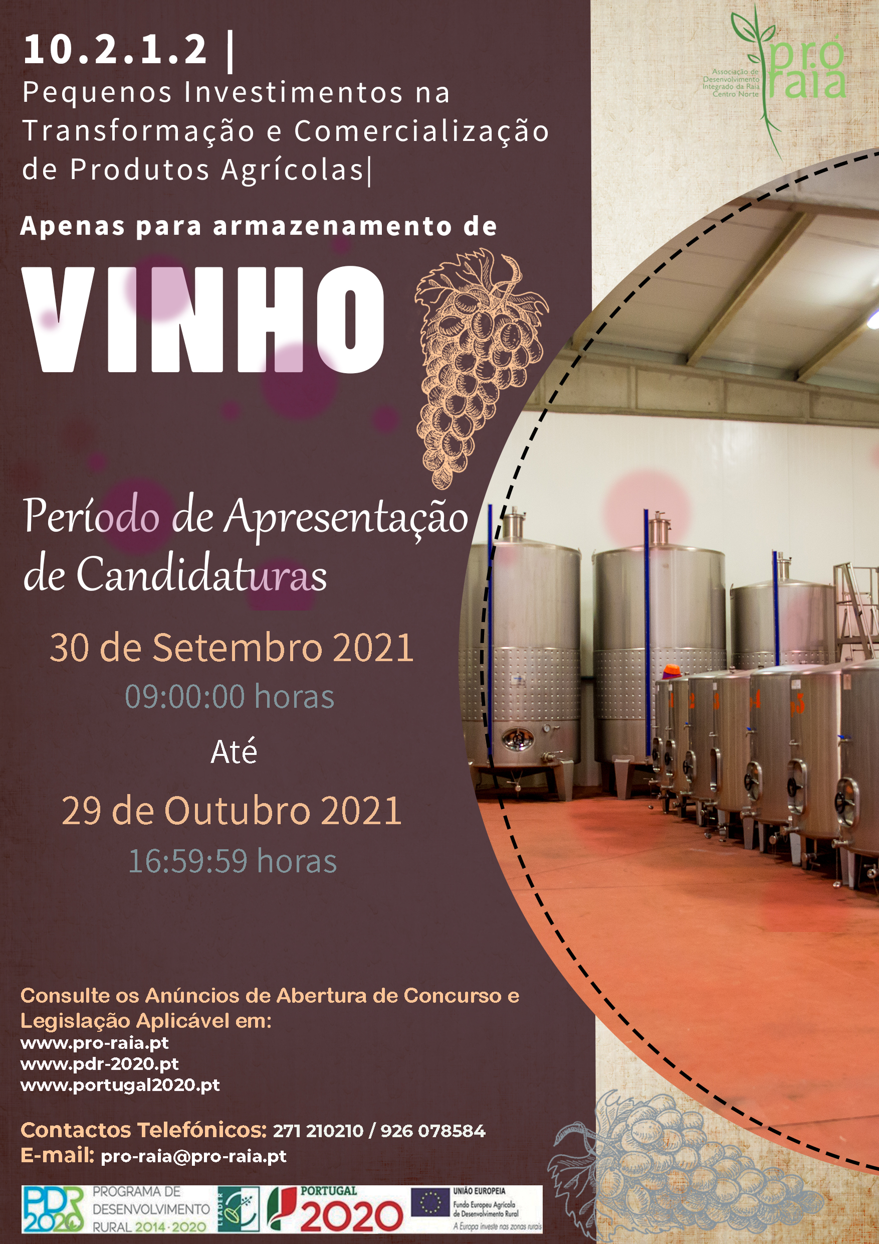Concurso Melhor Vinho da Beira Interior