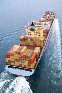 Import Export Liability