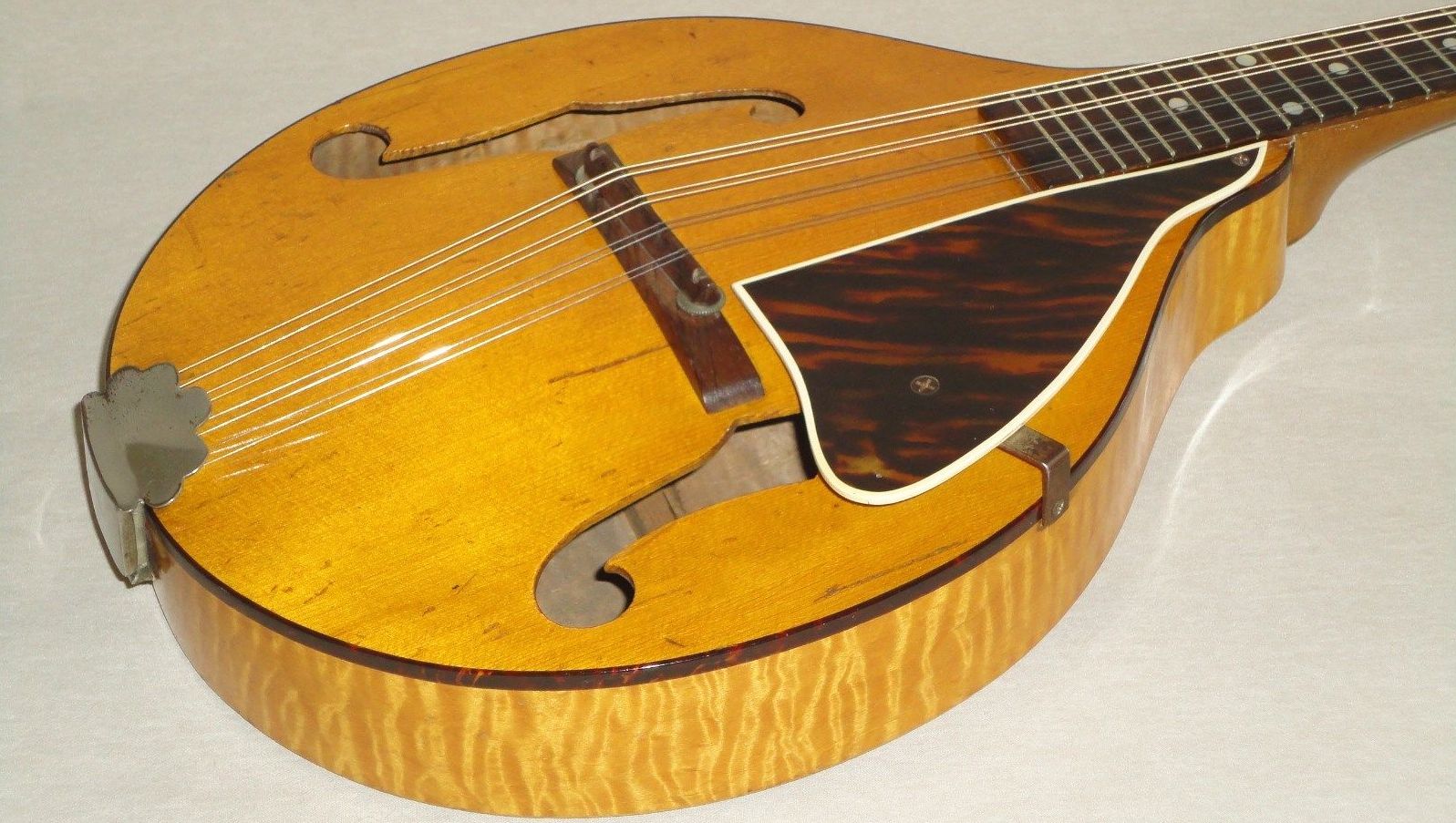 Catch of the Day 1940 Kalamazoo KMN12 Oriole Mandolin Fretboard Journal