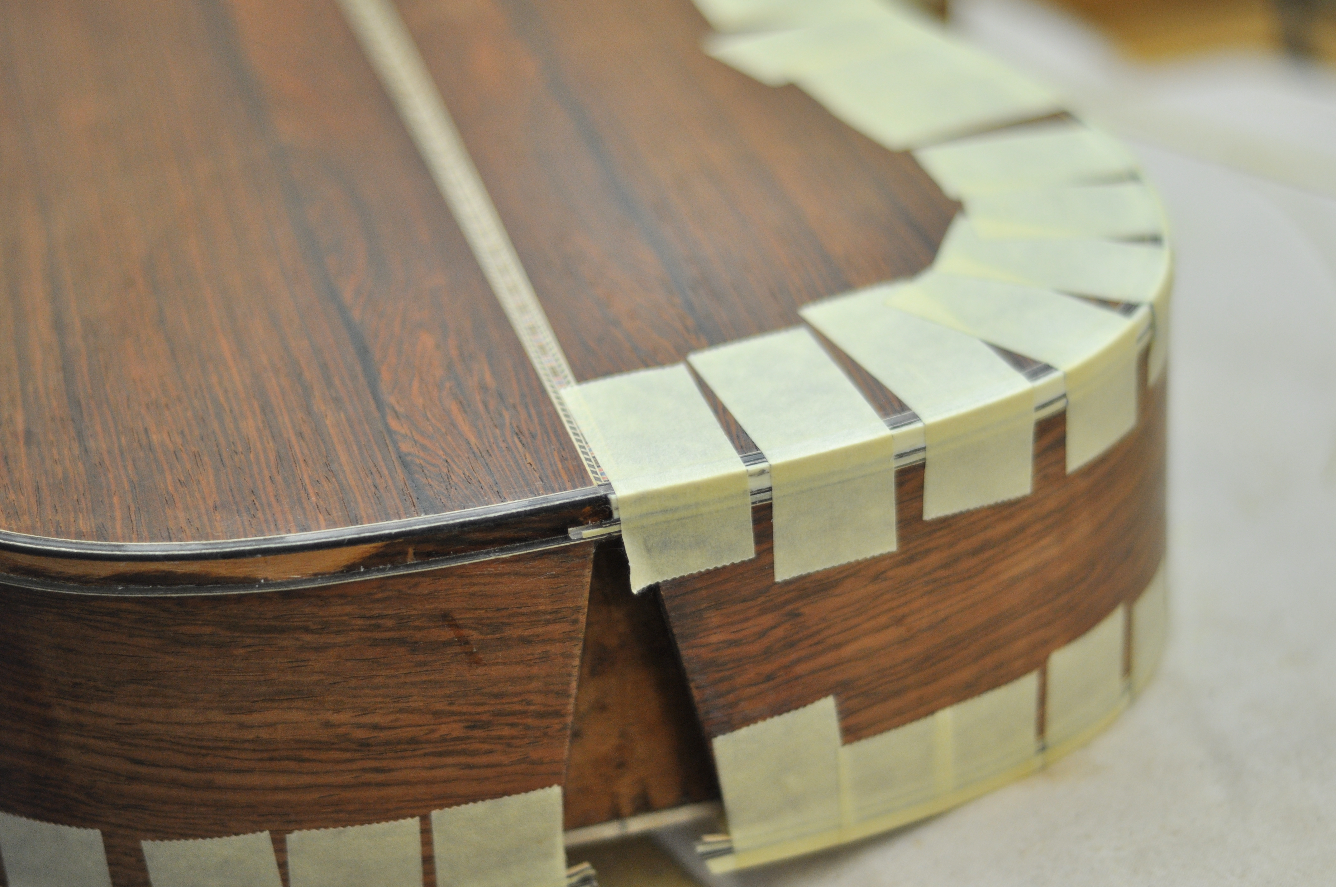 The US Fish and Wildlife Service's Updated (Not Really) Policy on