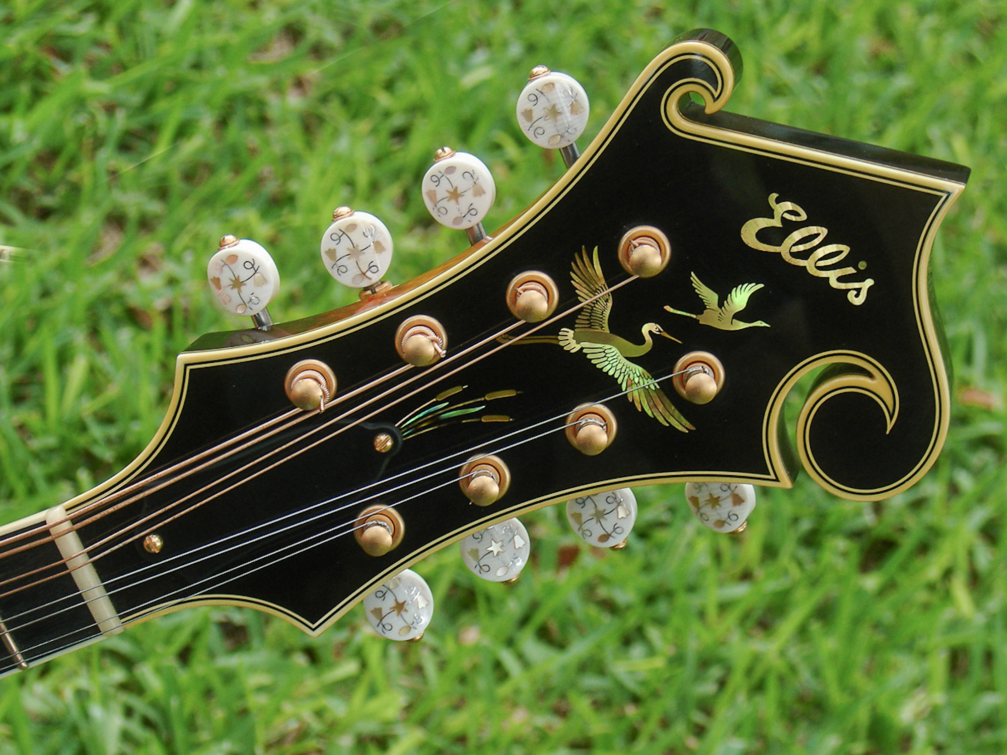 Podcast 211 Tom Ellis (Ellis Mandolins, Precision Pearl, Inc