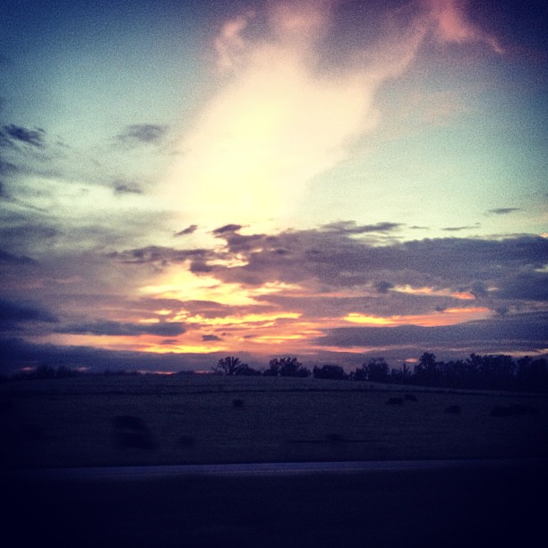 Wishing Well (‘Til the Day I Die)